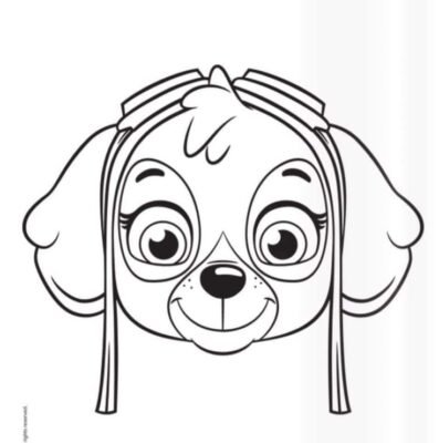 Skye Paw Patrol Dibujo Dibujos Paw Patrol Para Colorear